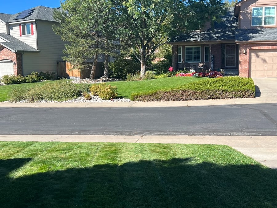 Dedicated street parking spot in front of our home.