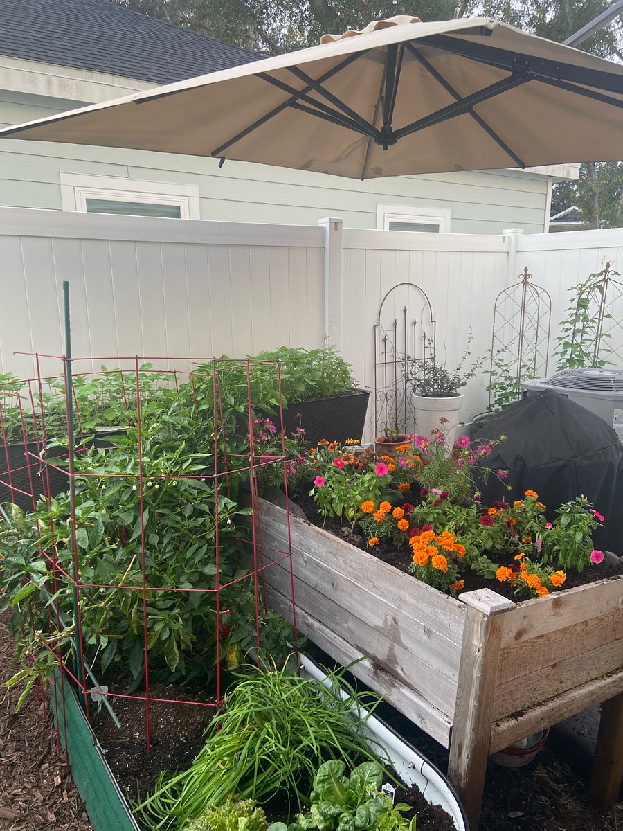 View of the backyard garden from the porch. You can see the available BBQ.