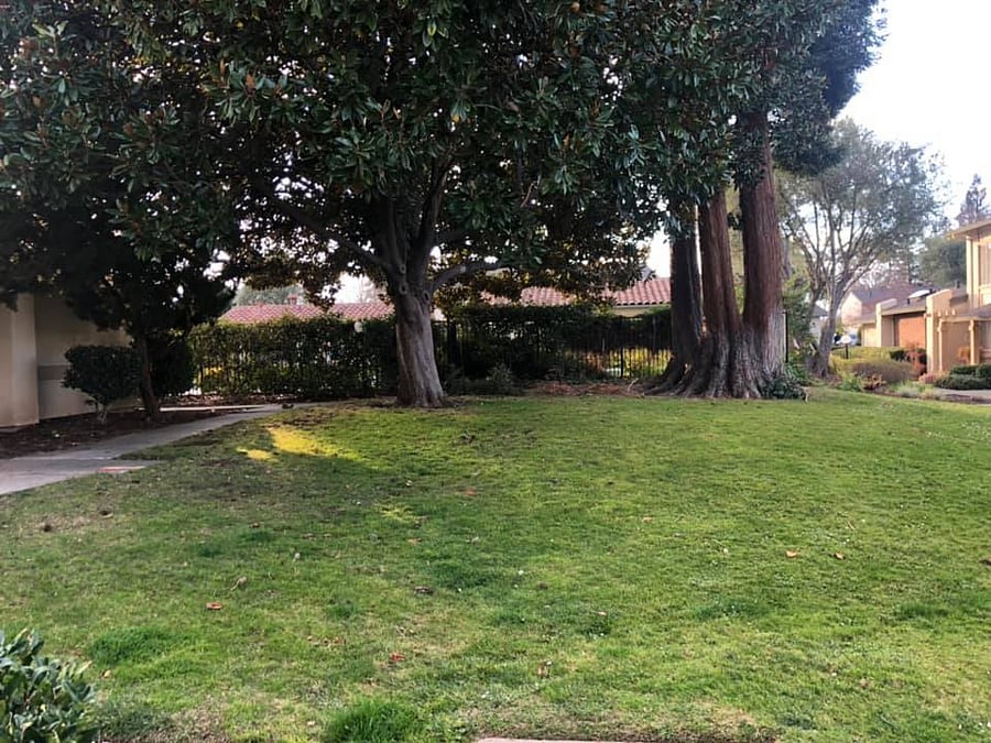 Furnished Finder property 774578_1 photo 3