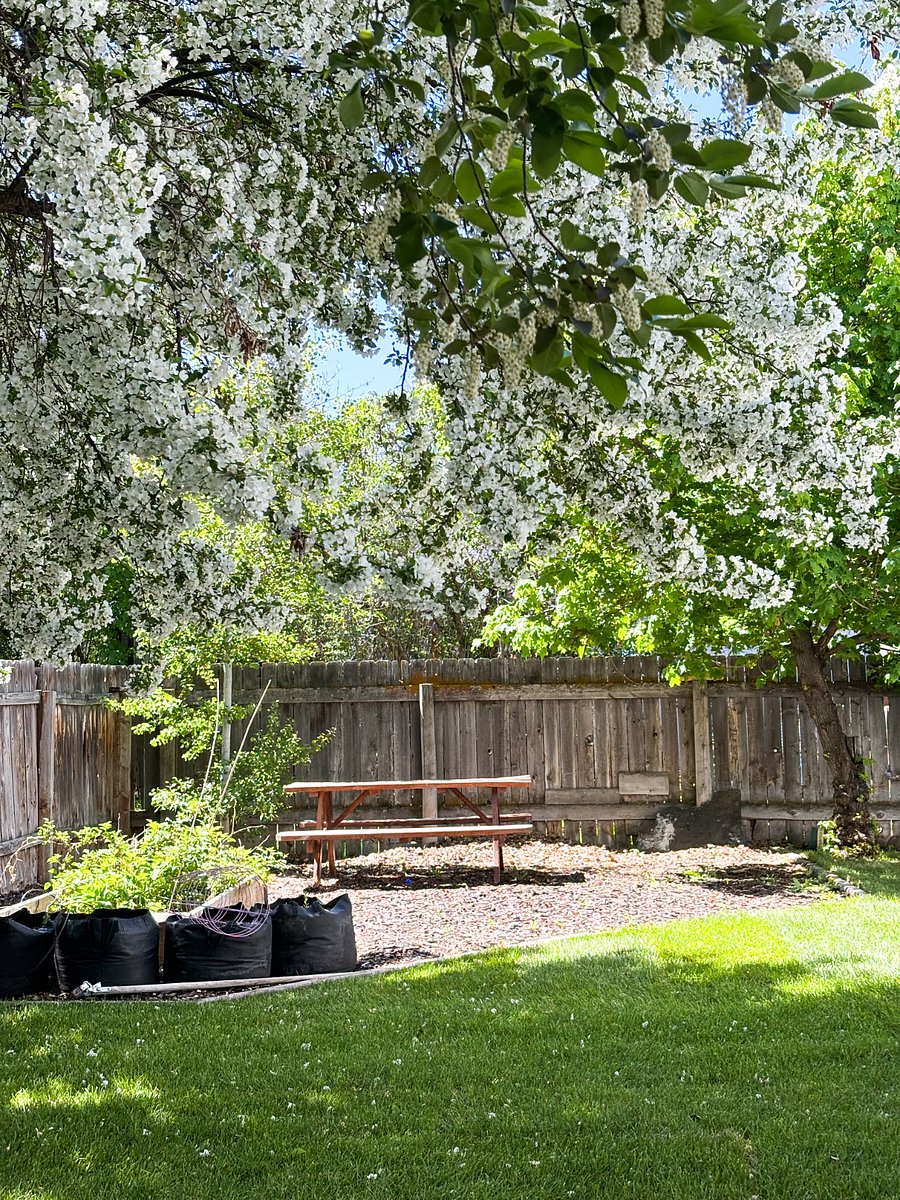 Furnished Finder property 775212_1 photo 10