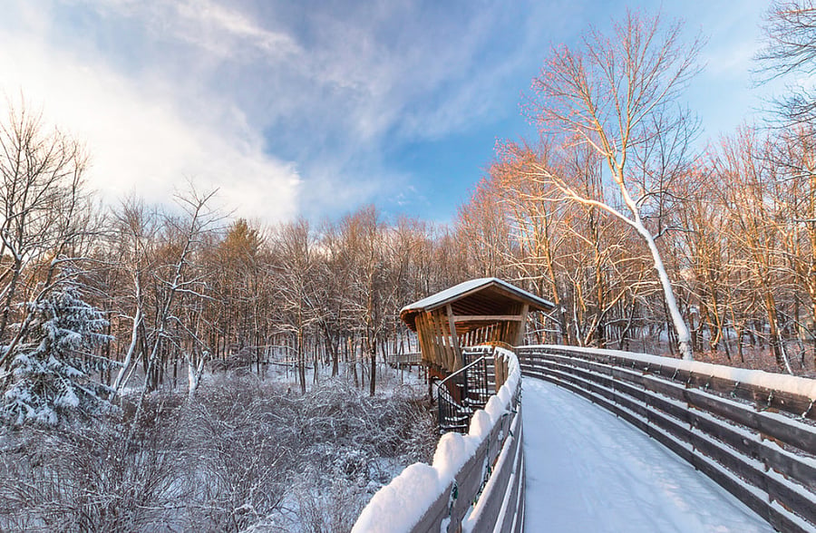 Pondicherry Park is adjacent to our yard - 66 acres of hiking trails with a covered bridge.
