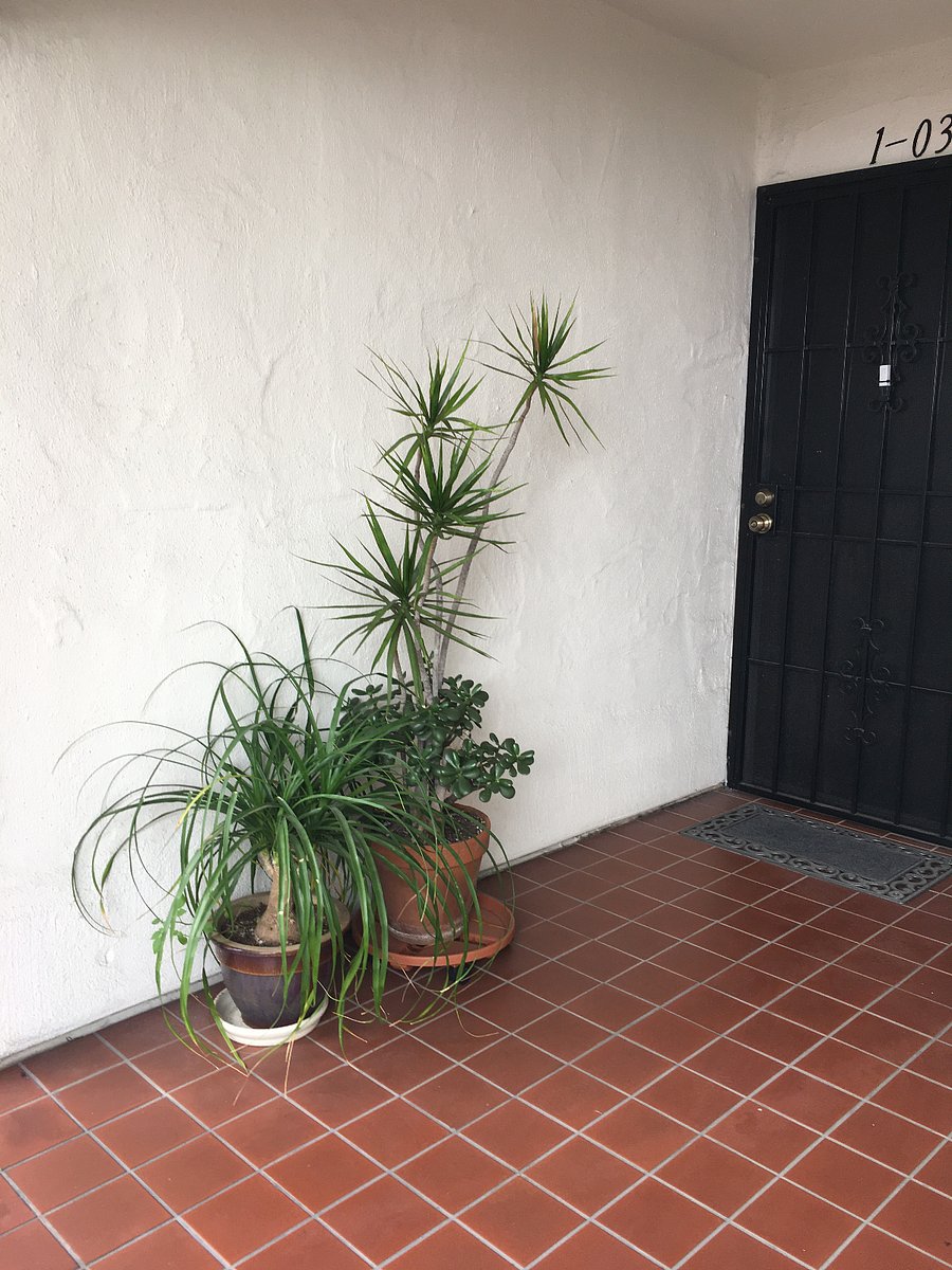 Furnished Finder property 775355_1 photo 12