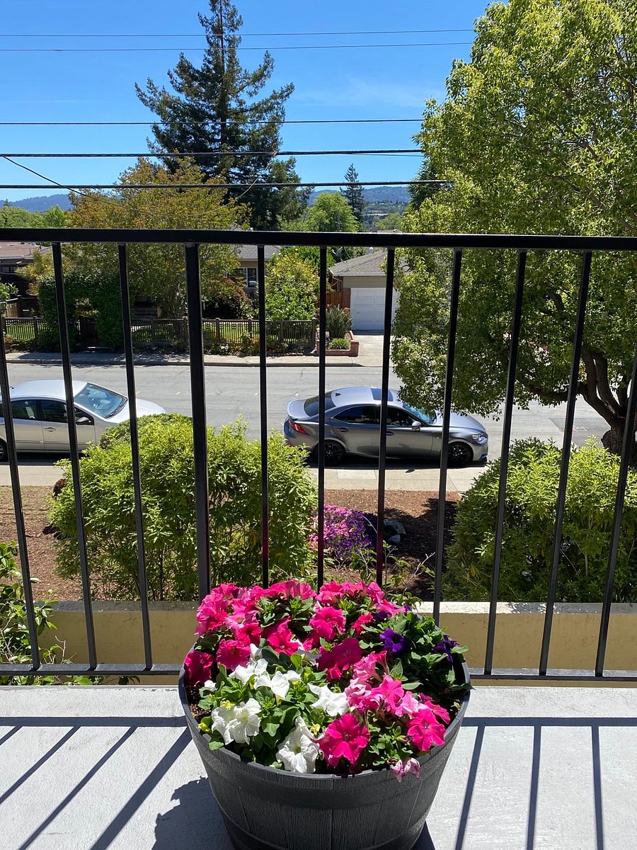 Furnished Finder property 775618_1 photo 17