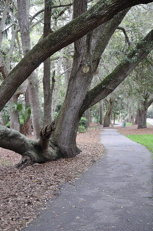 Representative of the miles of shaded, paved bike/walking paths provided to Shipyard guests.