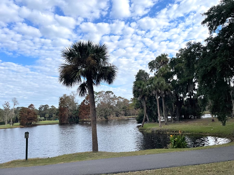 One of the many scenic views within the plantation