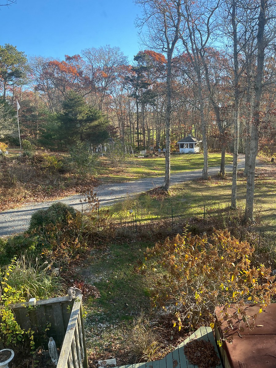 Furnished Finder property 775645_1 photo 4