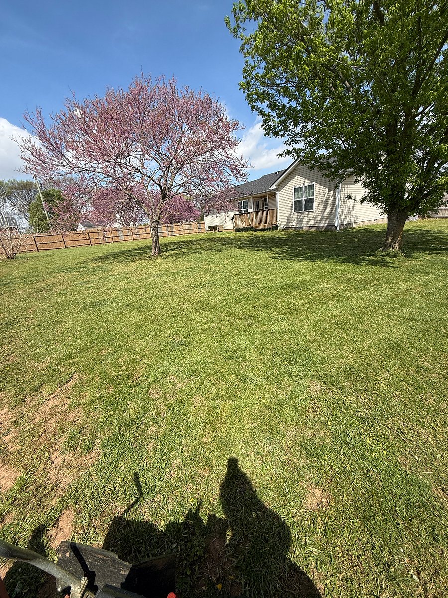 Large fenced backyard for pets
