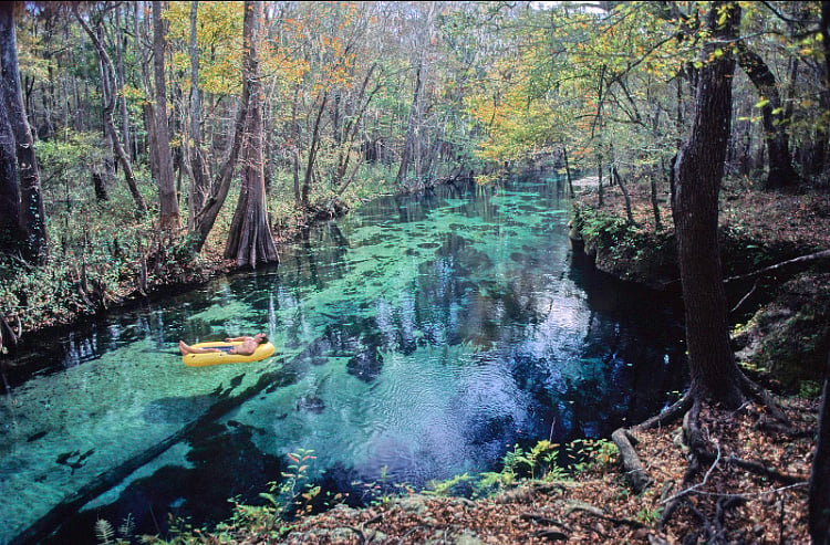 Itchetucknee Springs State Park. 45 minutes north.