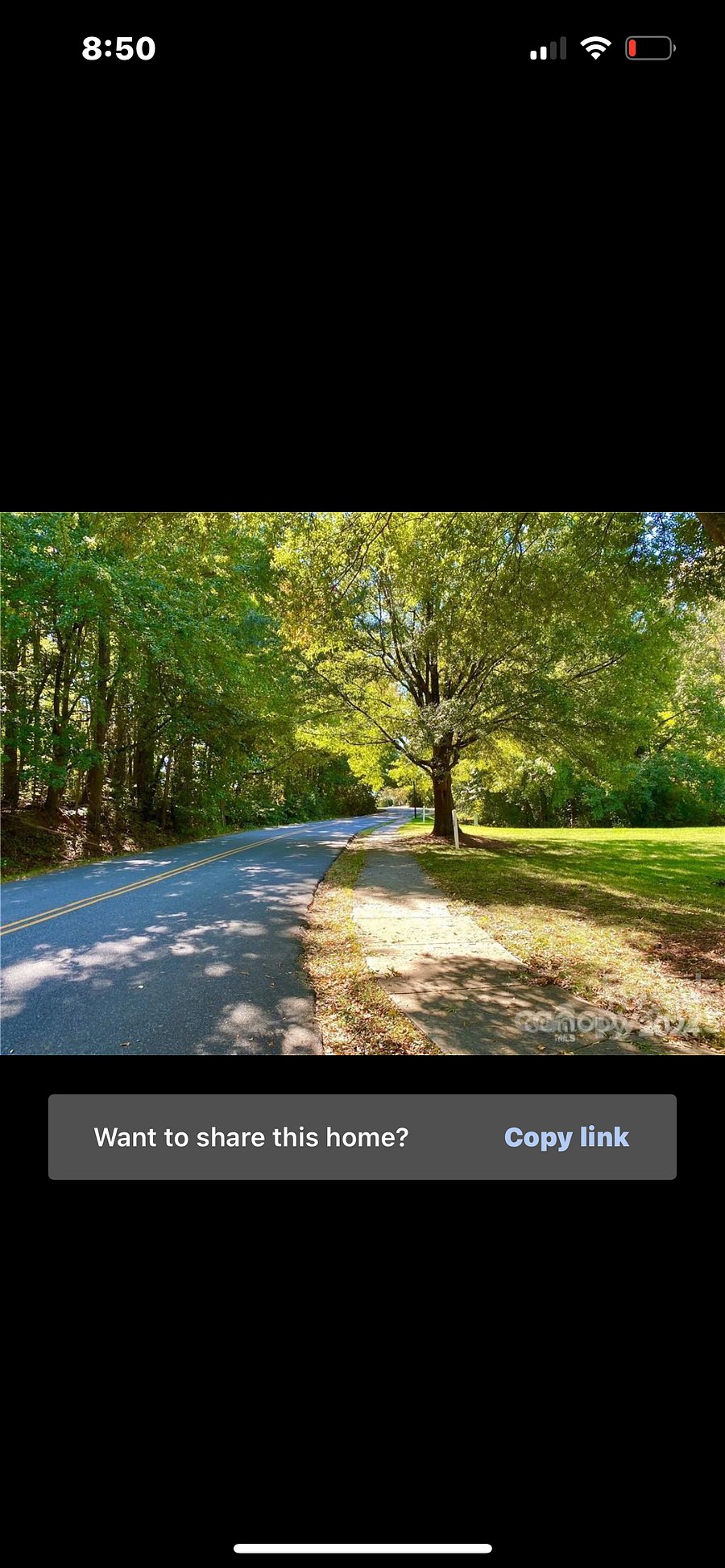 Tree-lined roads