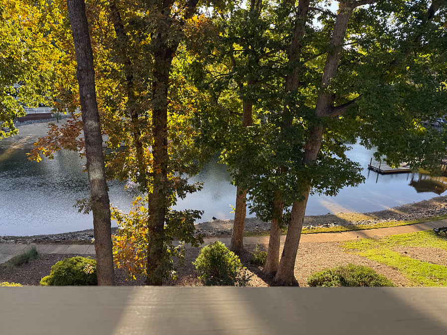 View from porch.