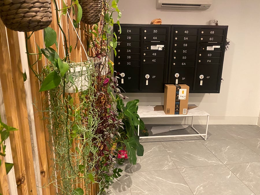 Lobby with security camera , mailboxes & package dropbox for deliveries 
