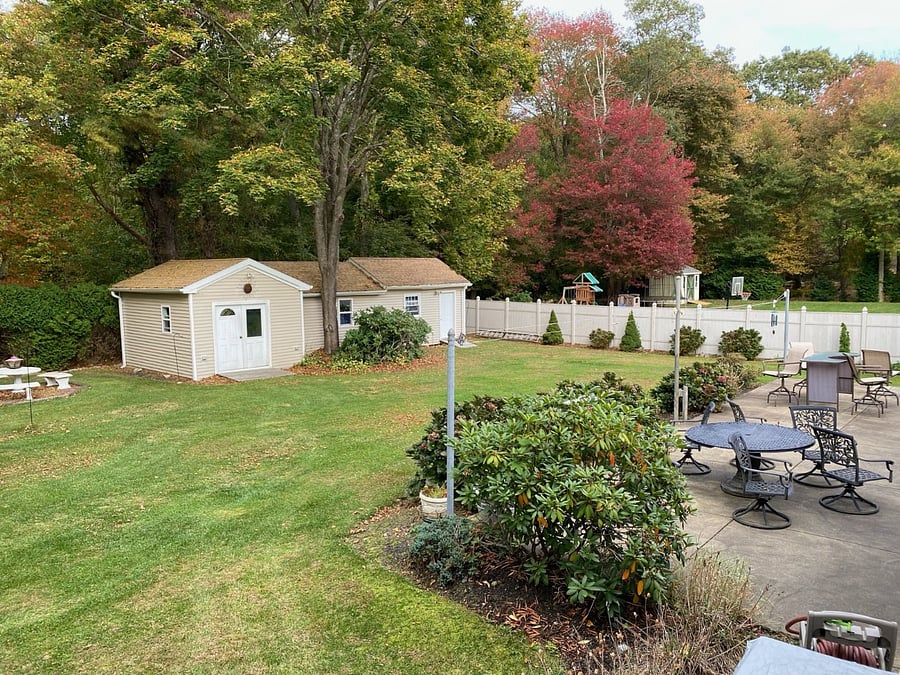 back yard
