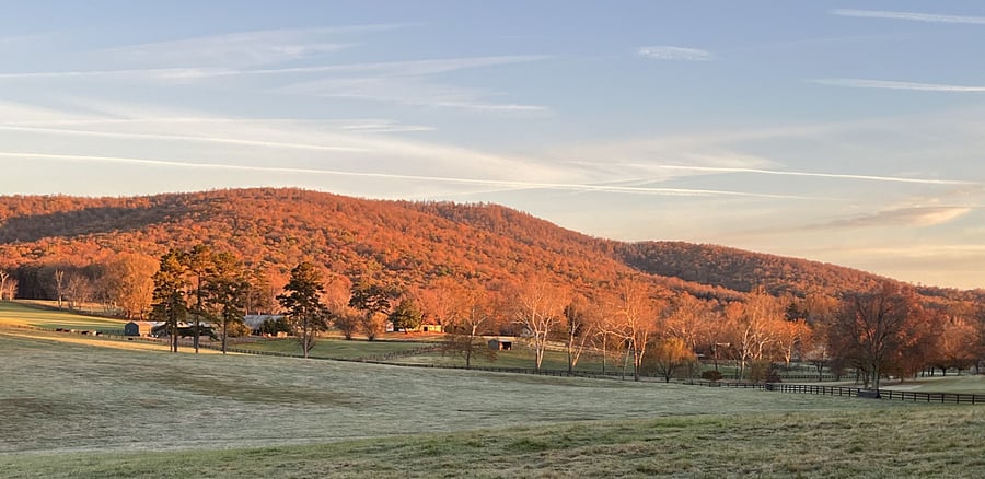 The countryside here is beautiful. Wonderful for walks.