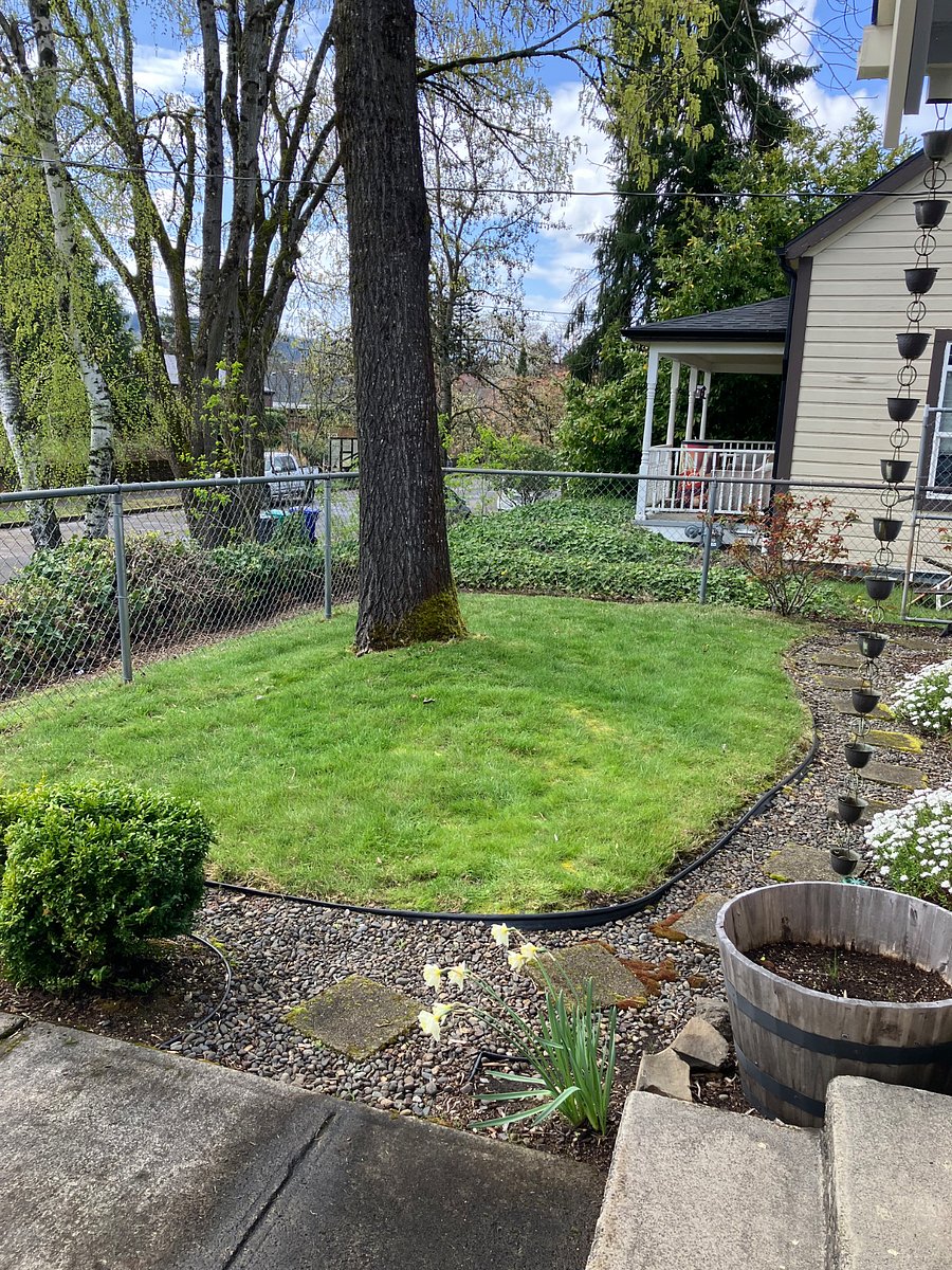 Front Yard