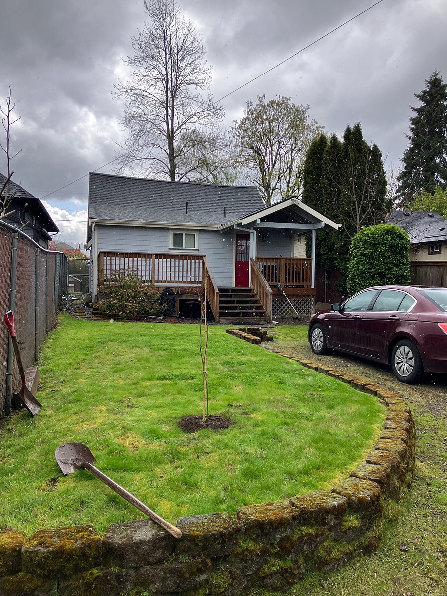 Rear Yard