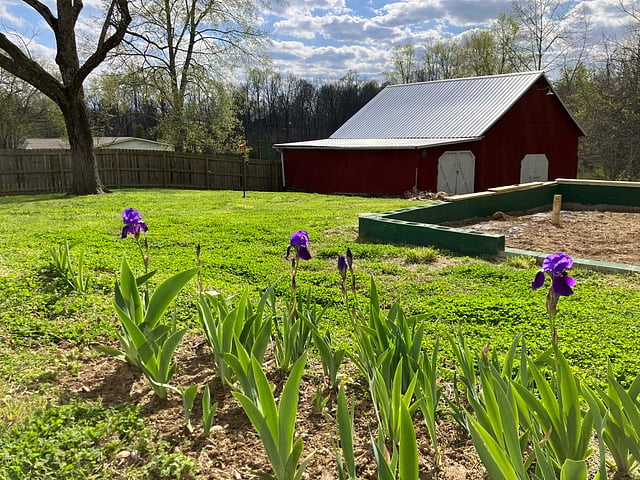 The space behind the house includes a gorgeous raised bed garden, pollinator garden, barn and wooded area.  Guests are welcome to enjoy the garden and patio space - perfect to sit and enjoy a cup of coffee, read and relax and enjoy the beauty of the outdoors.  Owners are avid gardeners so you may often see them tending to the gardens or space.