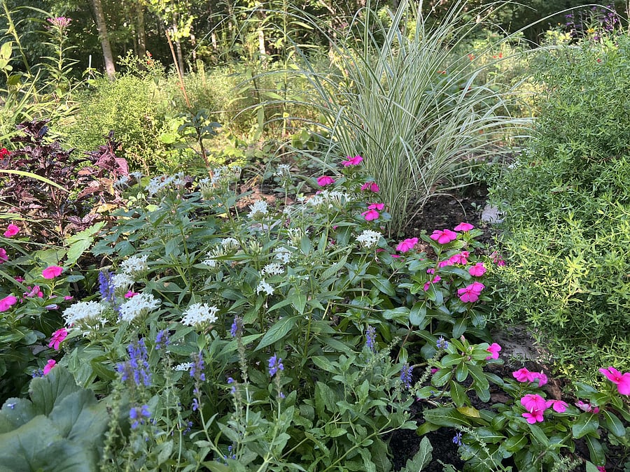 Spend your time in Tennessee enjoying our great outdoors.  This pollinator garden is home to beautiful butterflies and lots of birds.  If you get lucky, you might even spot a deer.