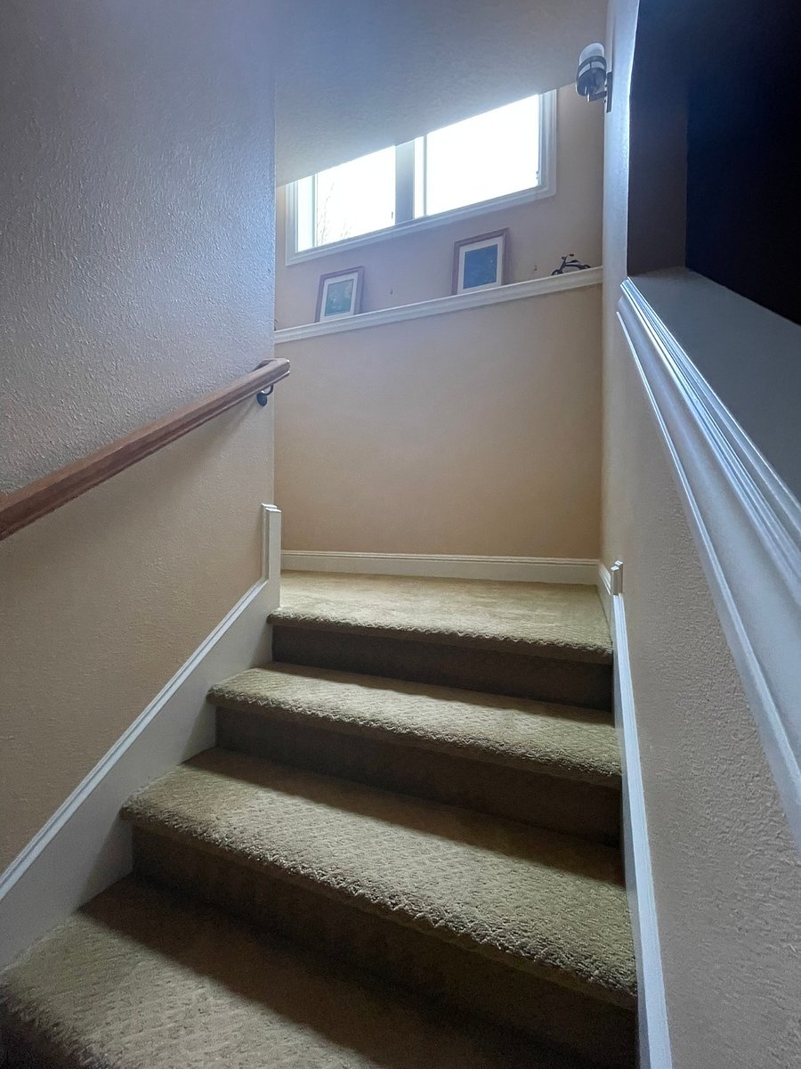 Daylight view from basement stairs to main level and garage.