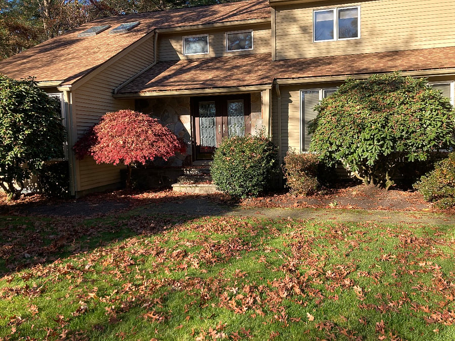 Furnished Finder property 777165_1 photo 6