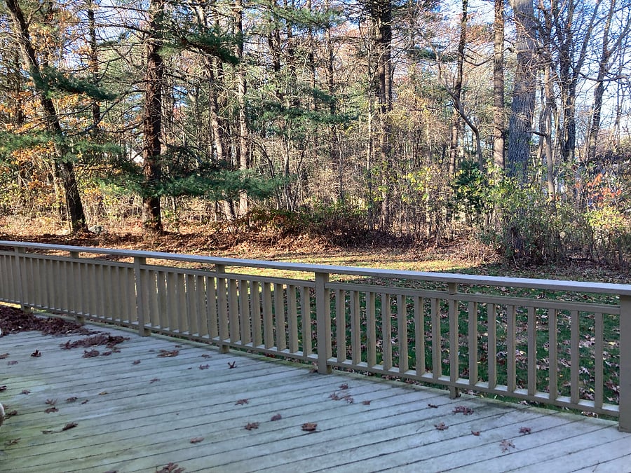 Furnished Finder property 777165_1 photo 25