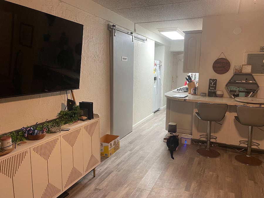 Shared Living Room looking into Galley Kitchen