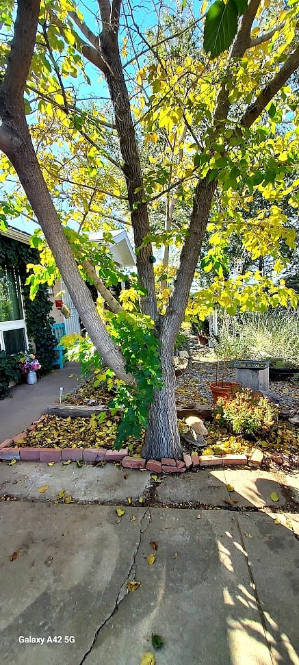 Furnished Finder property 777243_1 photo 15