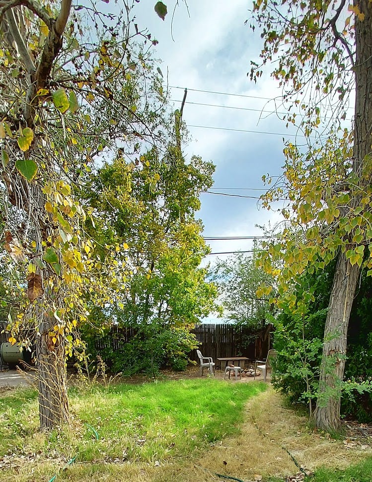 Furnished Finder property 777243_1 photo 18