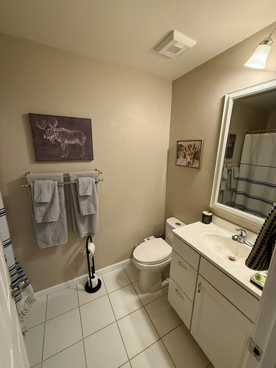 Guest bathroom