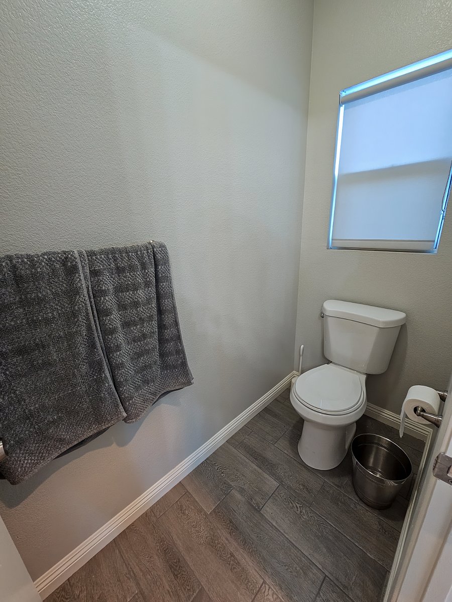 Master Bathroom Toilet