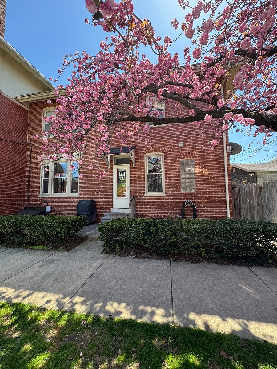 Furnished Finder property 777706_2 photo 9