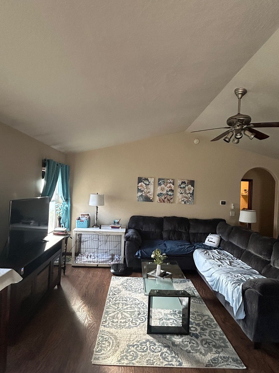 Living room West Wall view