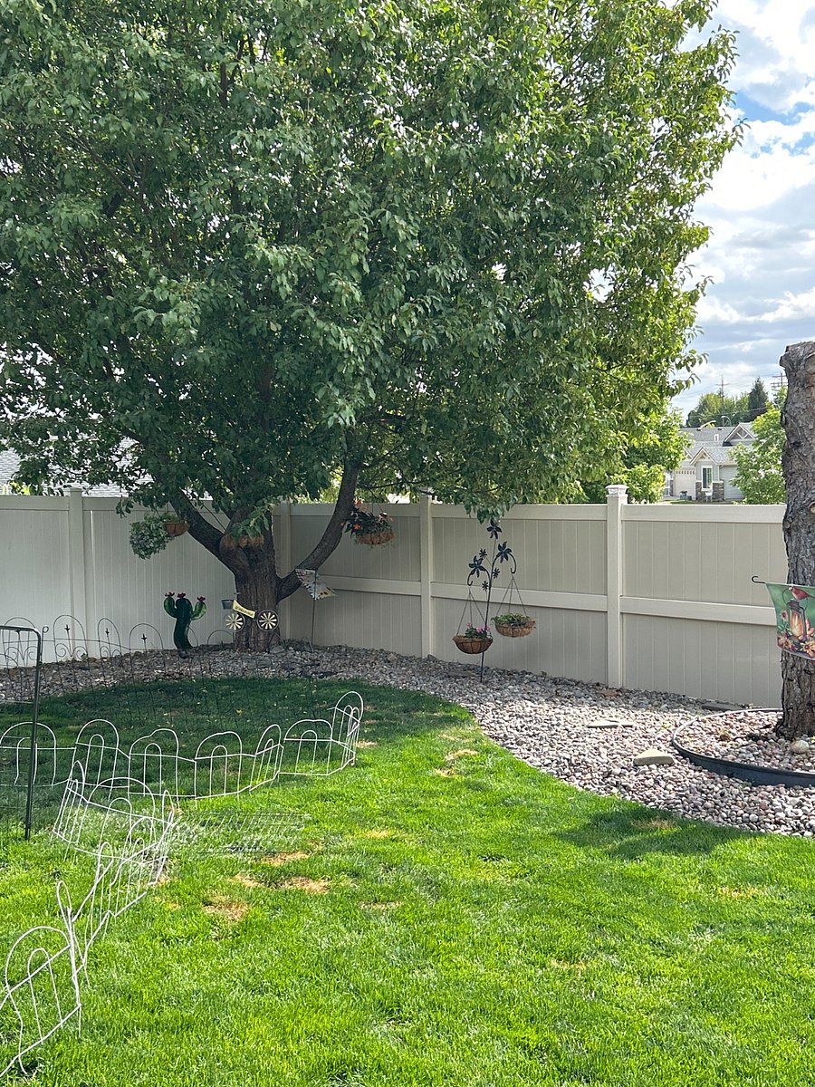 Backyard Southeast corner