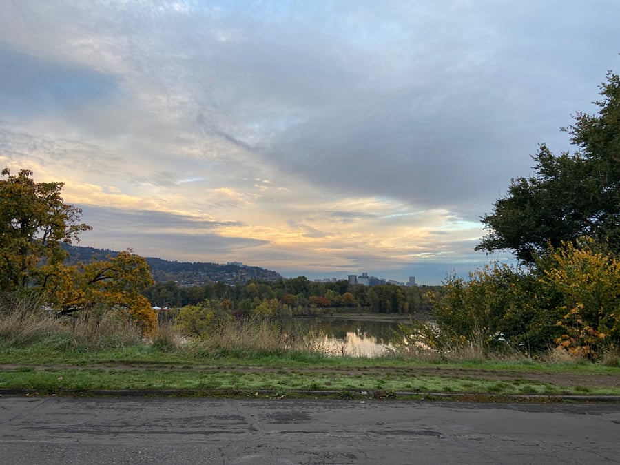 Nearby Bluff overlooks wildlife area and flood plain of williamette river, with downtown in the distance, glorious sunsets and pair of eagles often viewed here.
