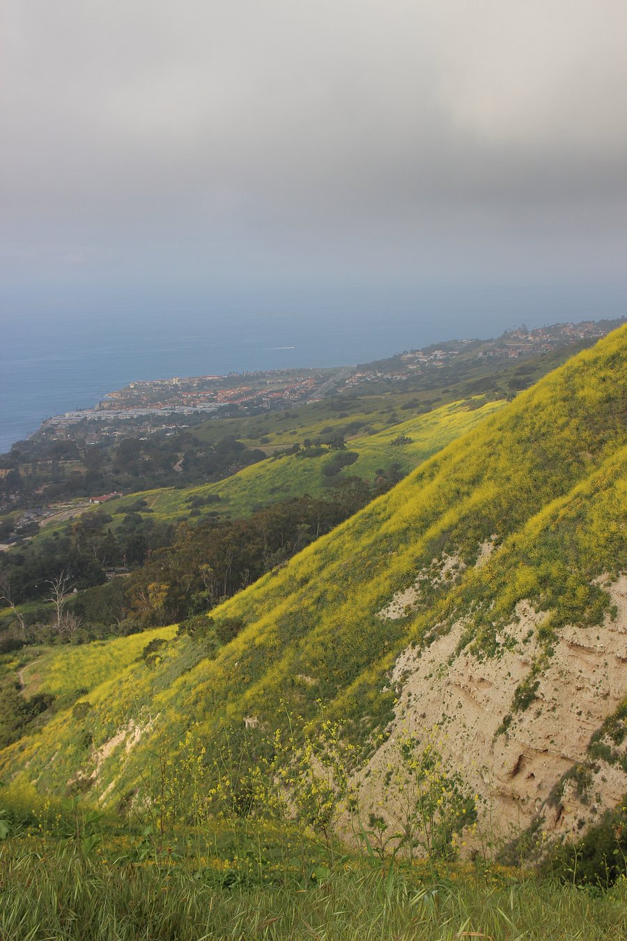 Many hiking trails 10 minutes from home