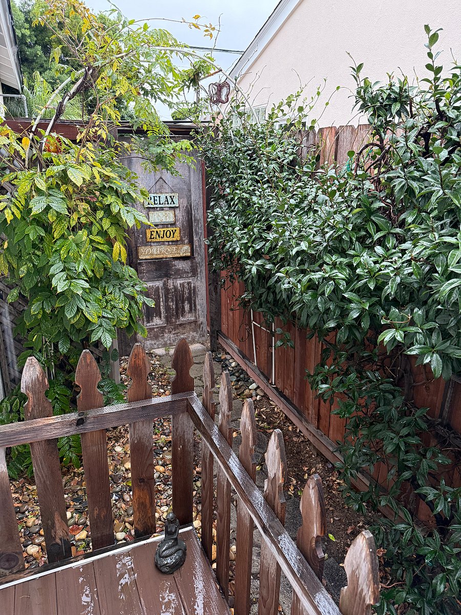 Deck view