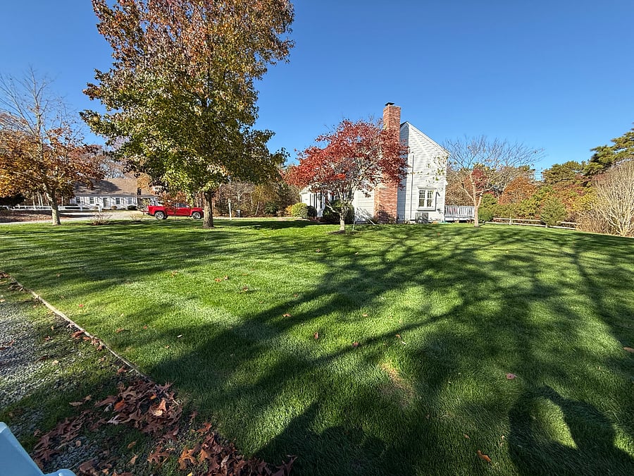 Expansive well manicured lawn.