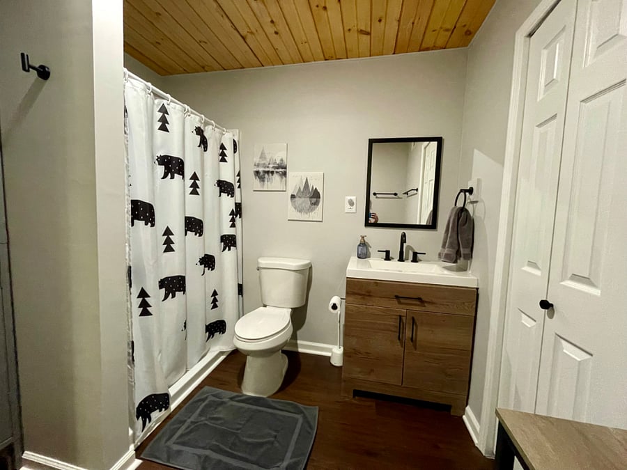 Downstairs shower only