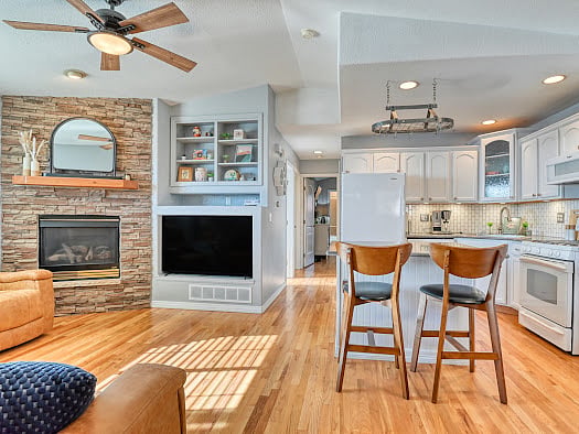 Gas fireplace