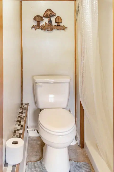 Furnished Finder property 778273_1 photo 15