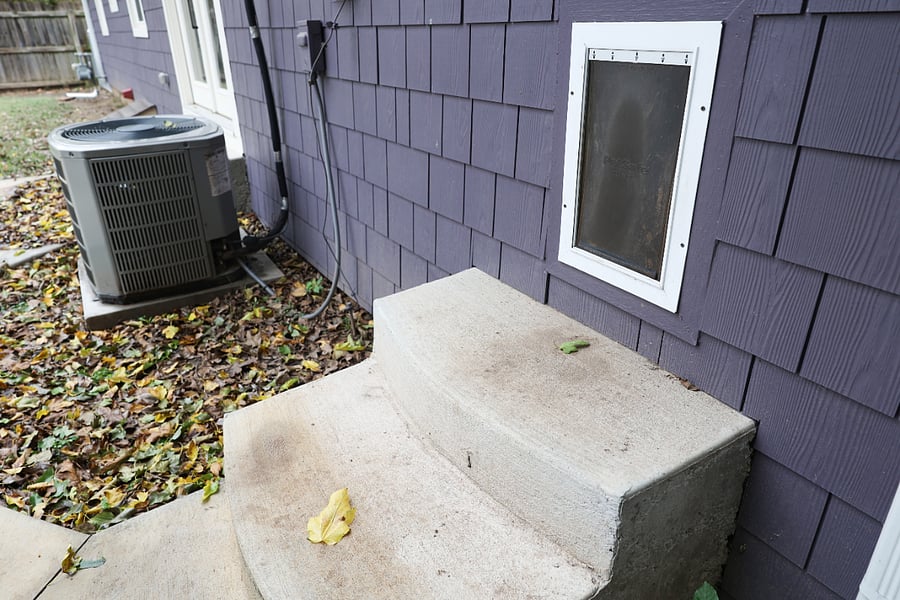 Dog Door