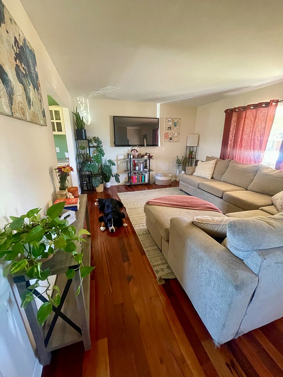 Furnished Finder property 778512_1 photo 3