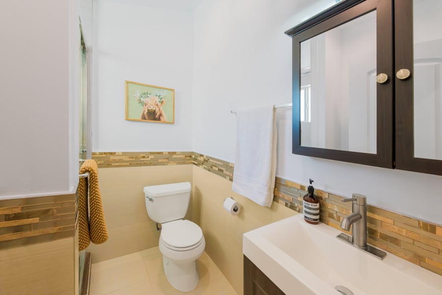 Ensuite bathroom with walk-in shower.