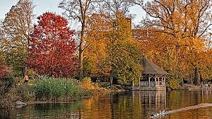 Prospect Park 