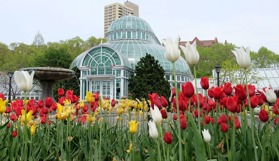 Brooklyn Botanic Garden