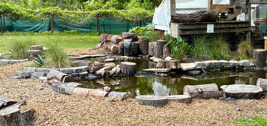 Backyard water feature
