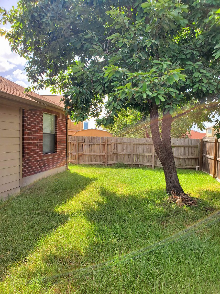 Furnished Finder property 778806_1 photo 11