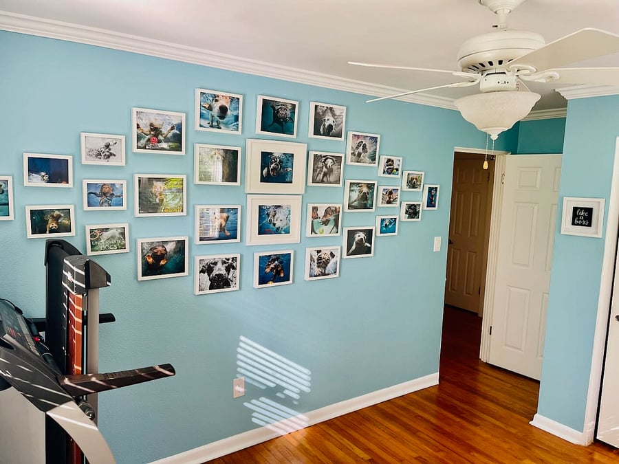 Furnished Finder property 778901_1 photo 40