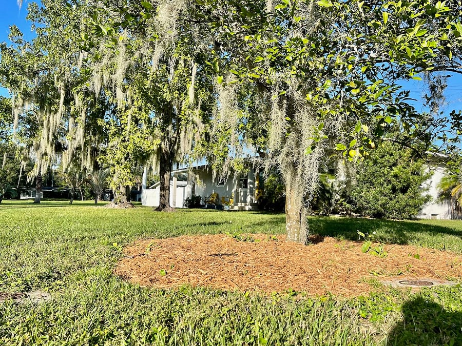 Furnished Finder property 778901_1 photo 49