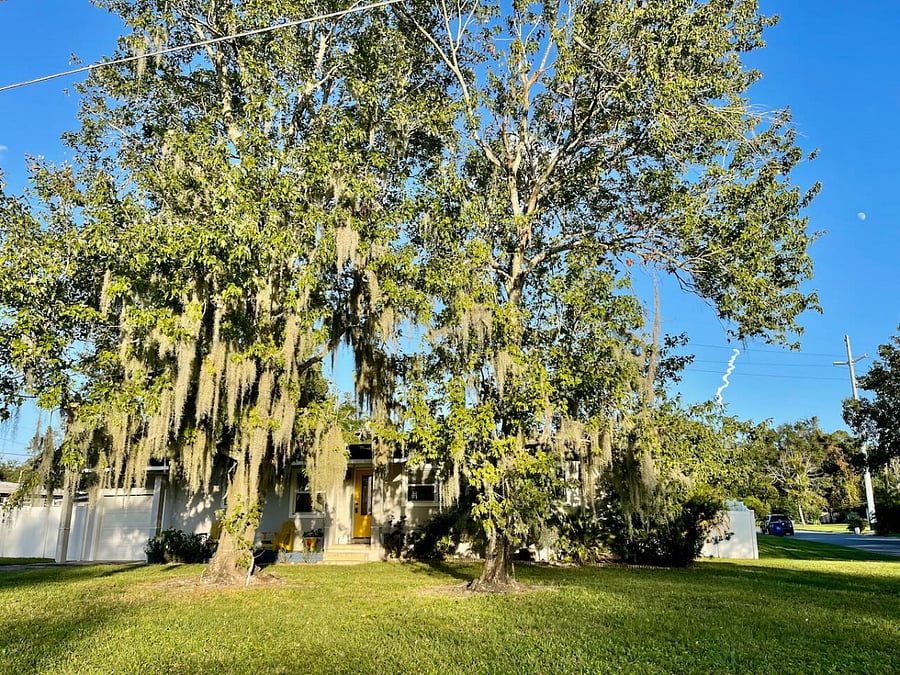 Furnished Finder property 778901_1 photo 45