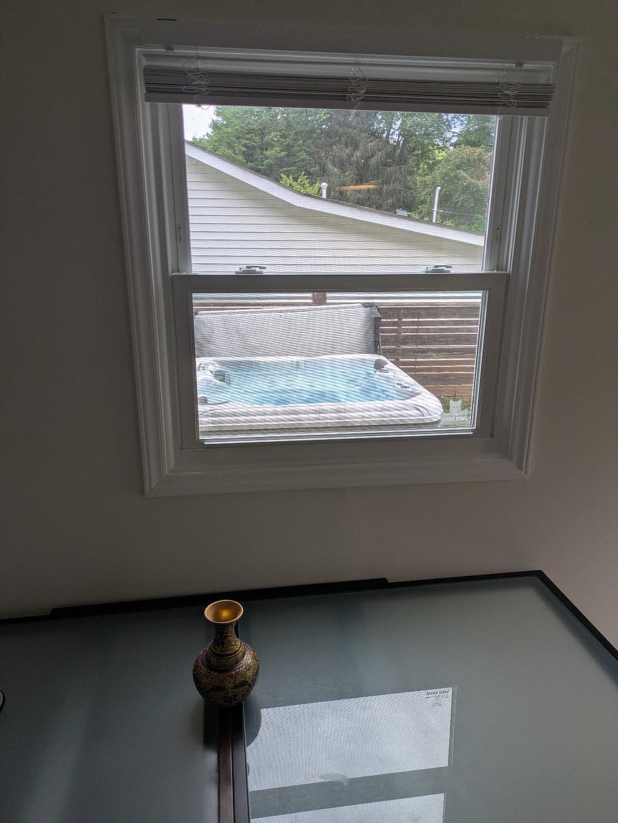 View from dining room window.